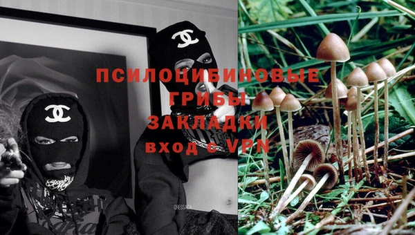 шишки Волосово