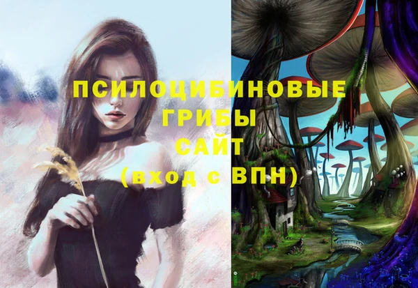 шишки Волосово