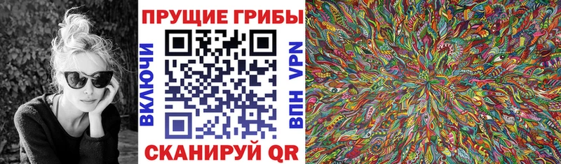 сайты даркнета какой сайт  Долгопрудный  Псилоцибиновые грибы GOLDEN TEACHER  OMG онион 
